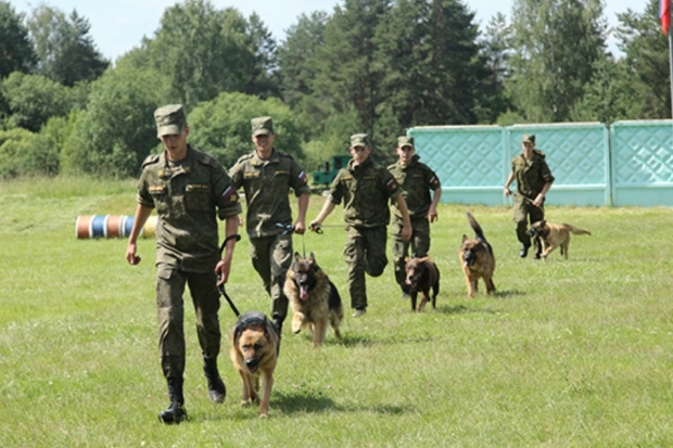 Военные из Волгограда готовят к конкурсу своих четвероногих сослуживцев Военные из Волгограда готовят к конкурсу своих четвероногих сослуживцев