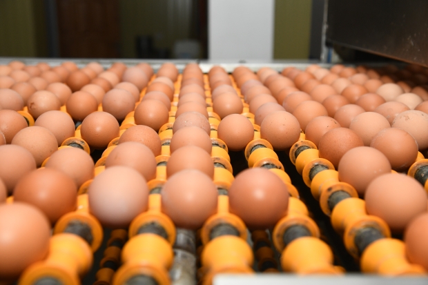 Названы продукты, которые можно смело есть на ночь Названы продукты, которые можно смело есть на ночь