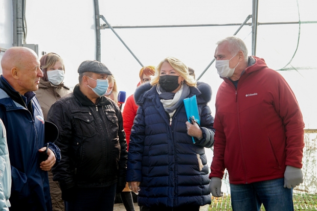 Питомники региона увеличили объемы производства посевного материала