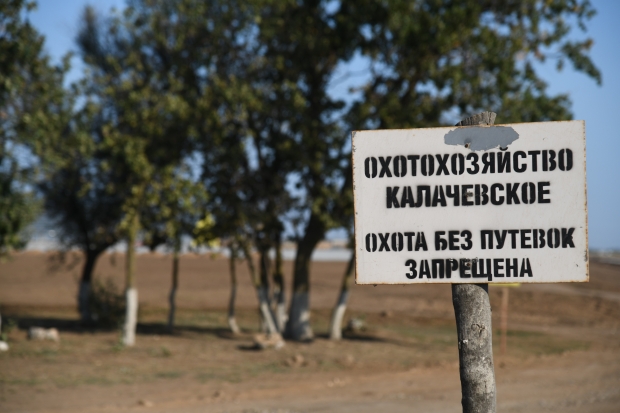 Волгоградцы вышли на охоту за норкой и зайцем-русаком