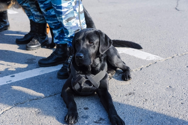 Волгоградская правда Волгоградская правда