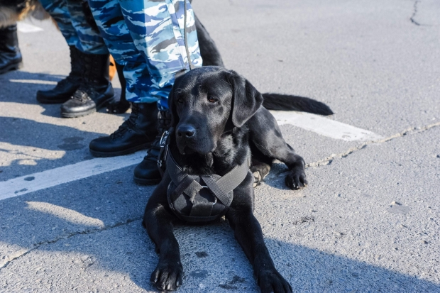 Волгоградцев просят помочь в поисках пропавшего белоруса-дальнобойщика