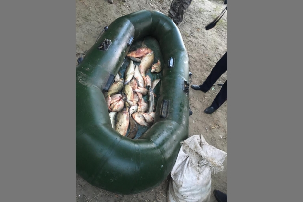 Волгоградская правда