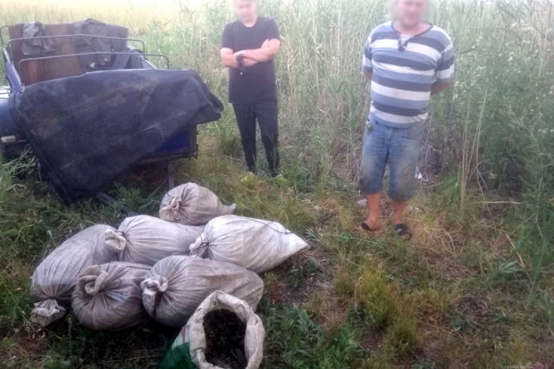 Волгоградская правда Волгоградская правда