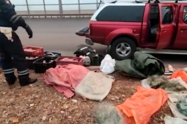 Волгоградская правда Волгоградская правда