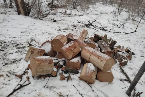 Волгоградская правда Волгоградская правда