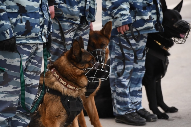 Волгоградская правда Волгоградская правда