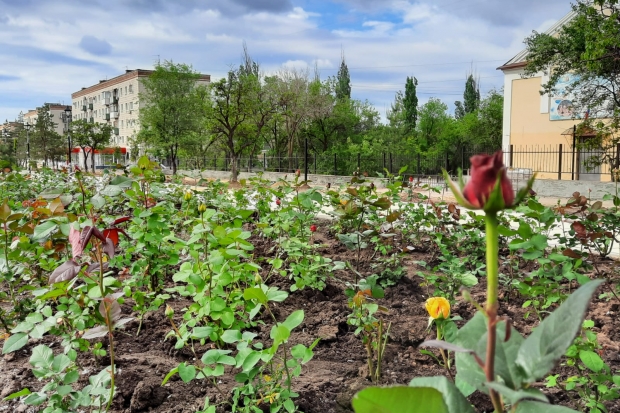 Волгоградская правда Волгоградская правда