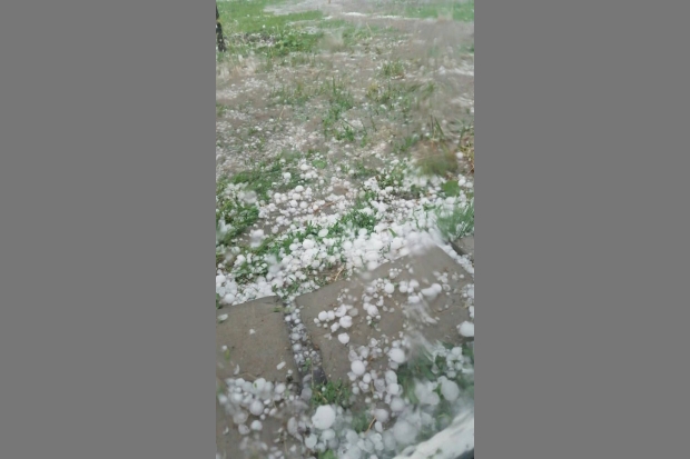 Жители сняли на видео крупный град и ливни в Волгоградской области