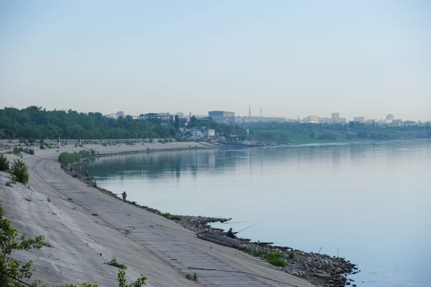В Волгоград после холодного мая пришла на нерест каспийская сельдь