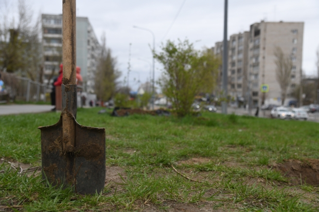 Волгоградская правда Волгоградская правда