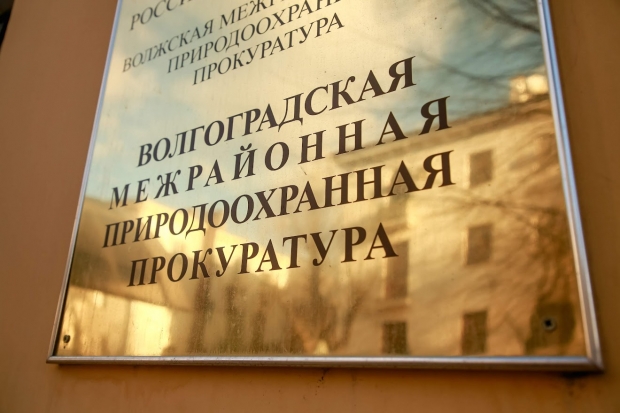 Волгоградская правда Волгоградская правда
