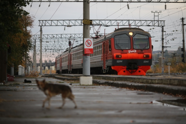 В Волгограде пустят дополнительную электричку 22 октября