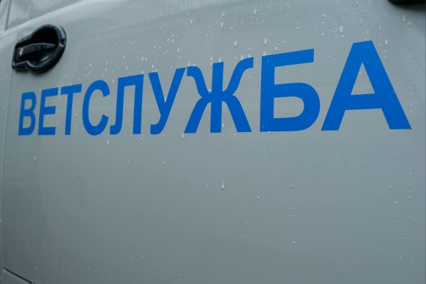 Волгоградская правда Волгоградская правда