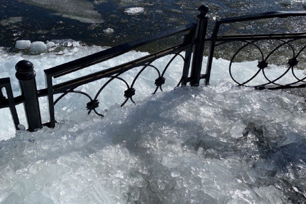 Набережная в камышине