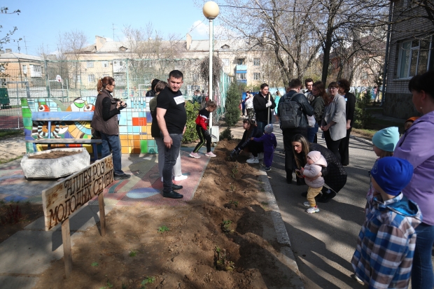 В Волгограде молодые семьи высадили аллею роз 