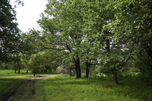 Волгоградская правда
