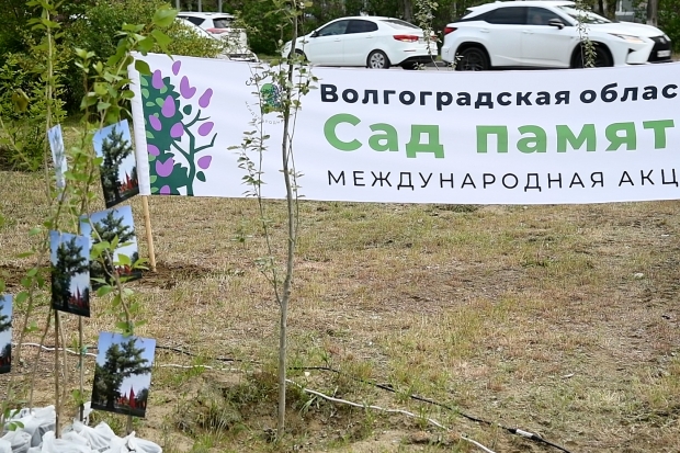 Волгоградская правда