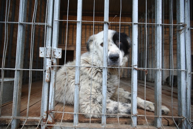 Волгоградская правда Волгоградская правда