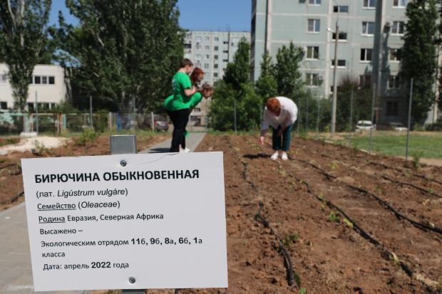Волгоградская правда Волгоградская правда