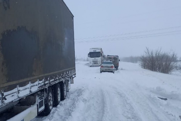 Волгоградская правда Волгоградская правда