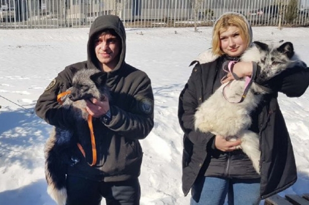 Волгоградская правда Волгоградская правда