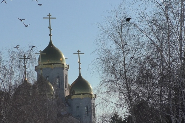 Волгоградская правда Волгоградская правда
