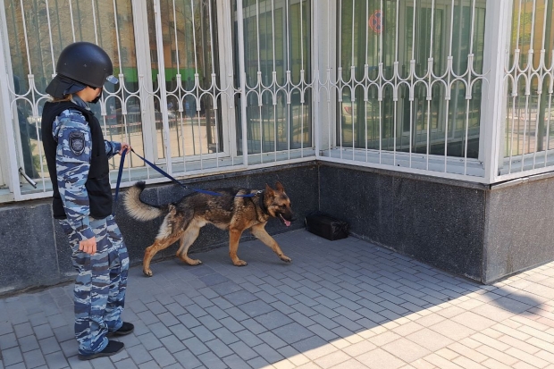 Волгоградская правда