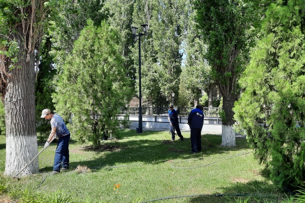 Волгоградская правда Волгоградская правда