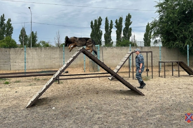 Волгоградская правда Волгоградская правда