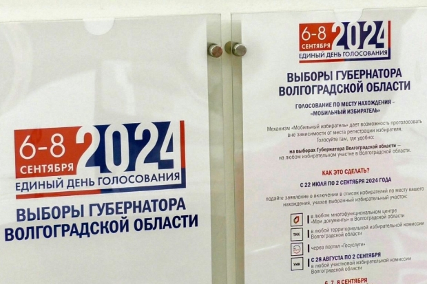 Волгоградские общественники оценили ход электорального процесса – 2024