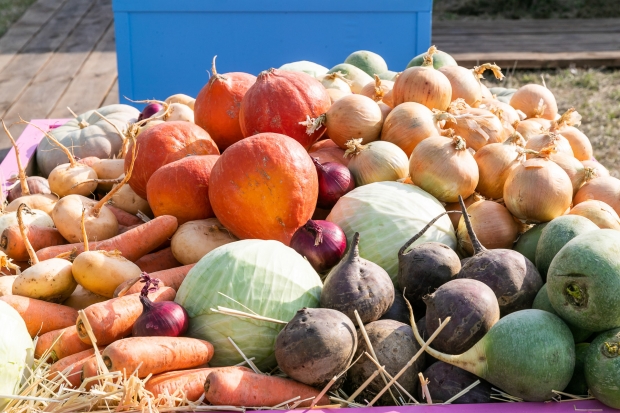 В Волгоградской области сельхозкооперативы поддерживают субсидиями