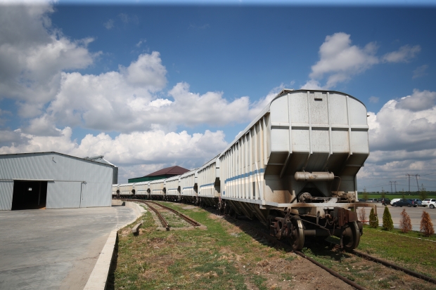 Из Волгоградской области в Беларусь отправили 1,5 тысячи тонн подсолнечного шрота