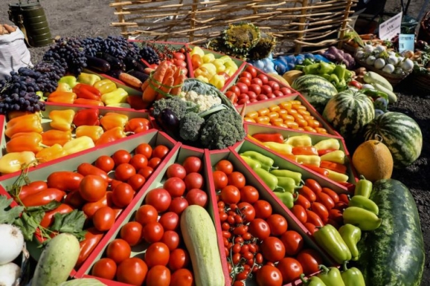 Волгоградцам рассказали, какие фрукты и овощи нужно есть в августе