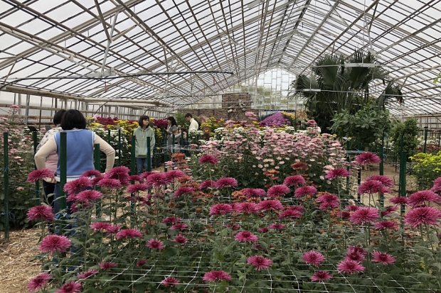 Волгоградская правда