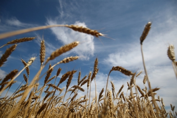 Волгоградская правда Волгоградская правда