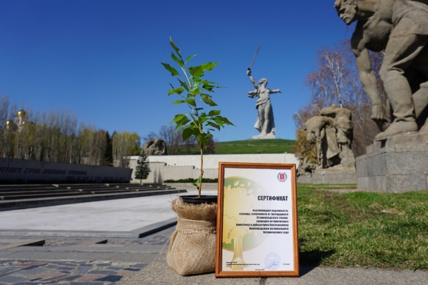 Волгоградская правда Волгоградская правда