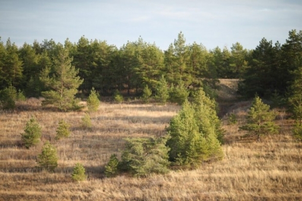 Волгоградская правда