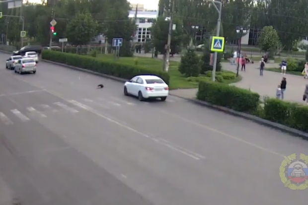 Волгоградская правда