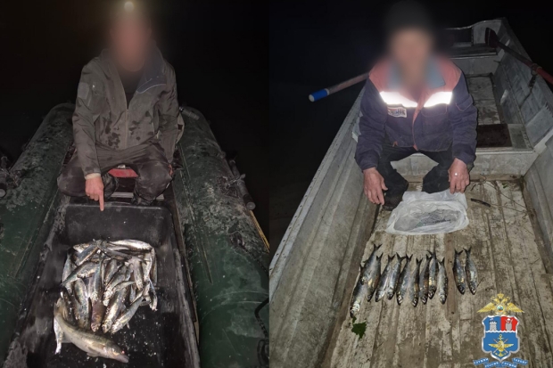 Волгоградская правда Волгоградская правда