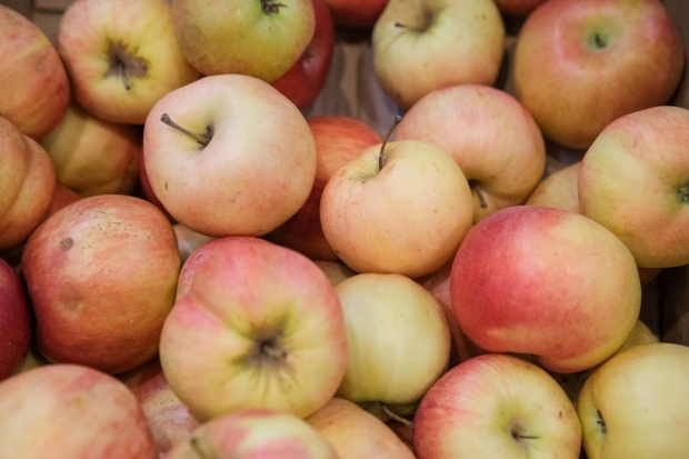 Волгоградская правда Волгоградская правда