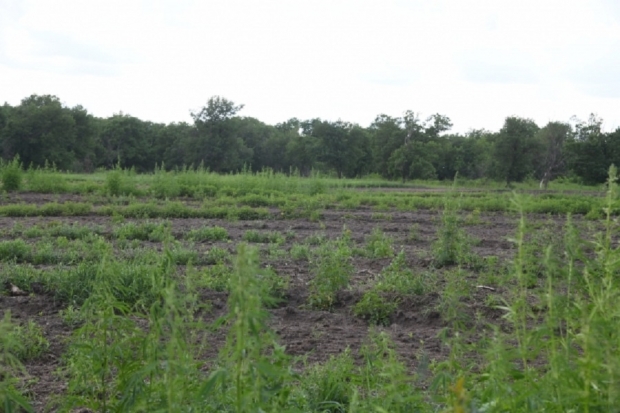 Волгоградская правда Волгоградская правда