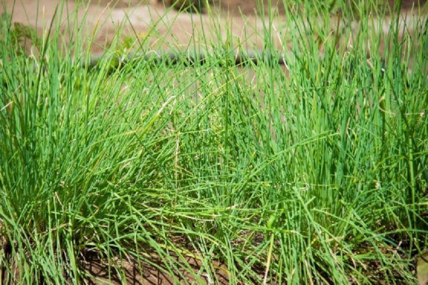 Волгоградская правда