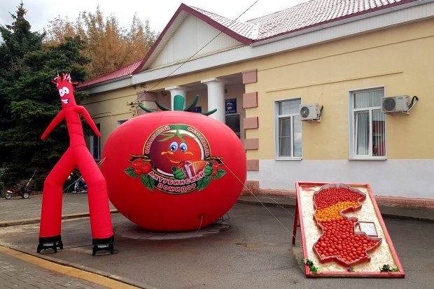 Yakunlangan kesmalar Emi Lindsi yalangoch