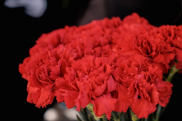 Волгоградская правда Волгоградская правда