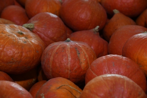 Волгоградская правда Волгоградская правда