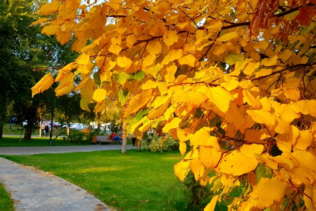 Волгоградская правда