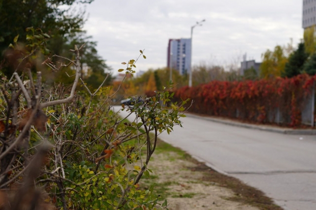 Волгоградская правда Волгоградская правда