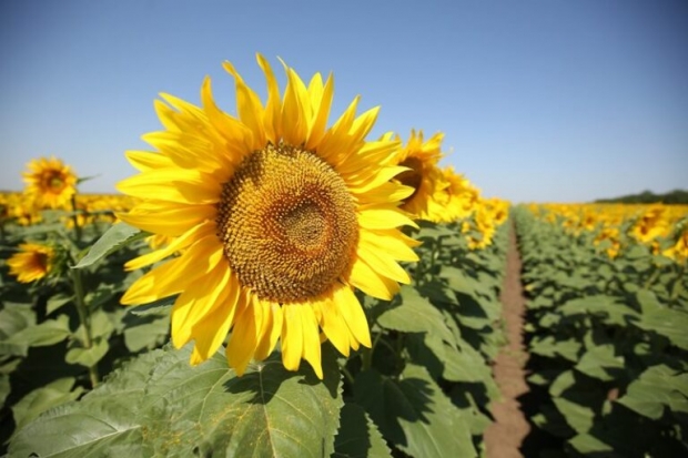 Волгоградская правда