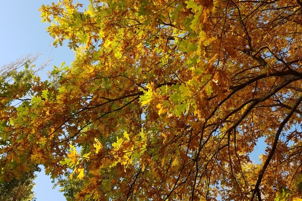 Волгоградская правда